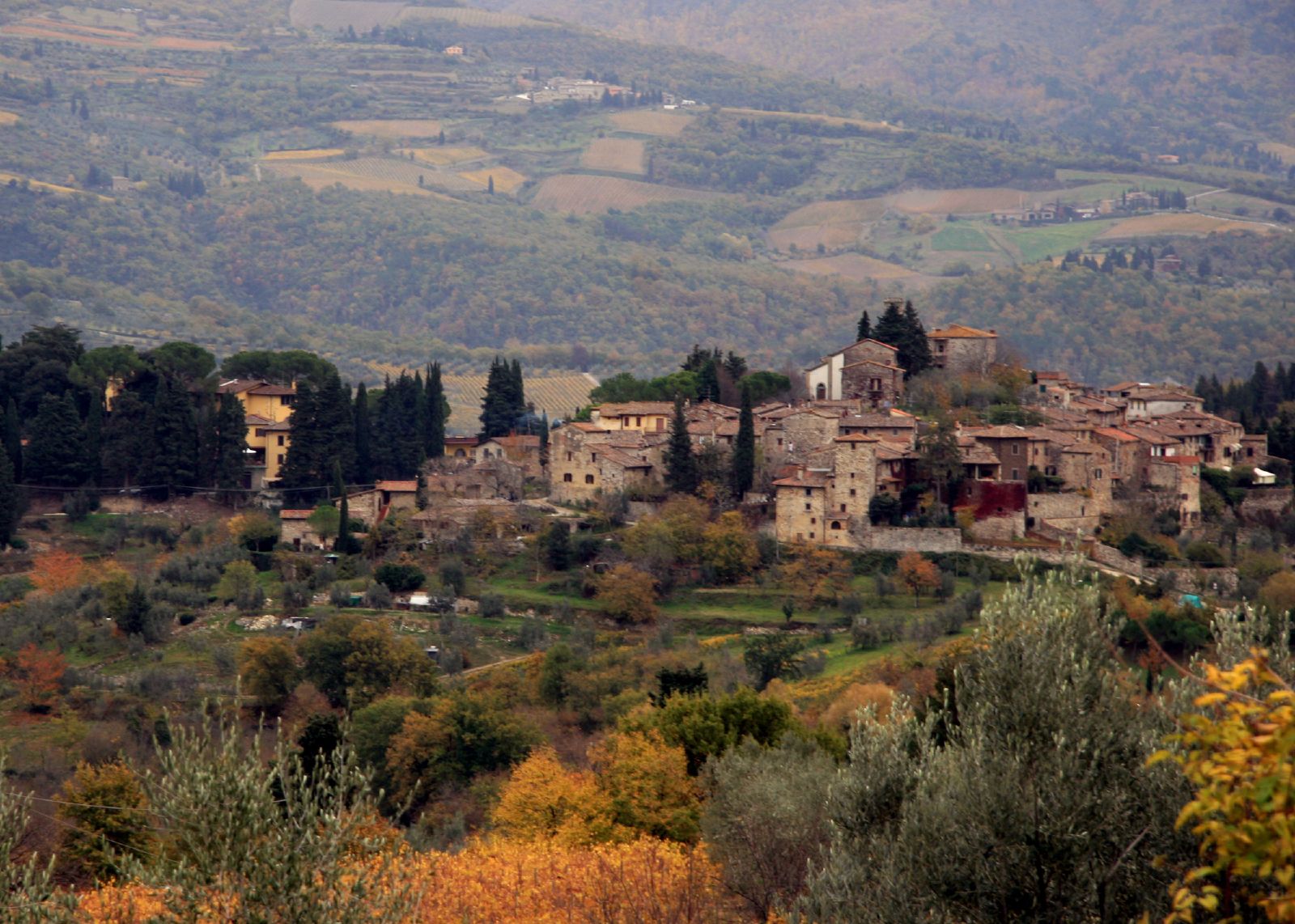 Autumn hills and olive groves in Tuscany