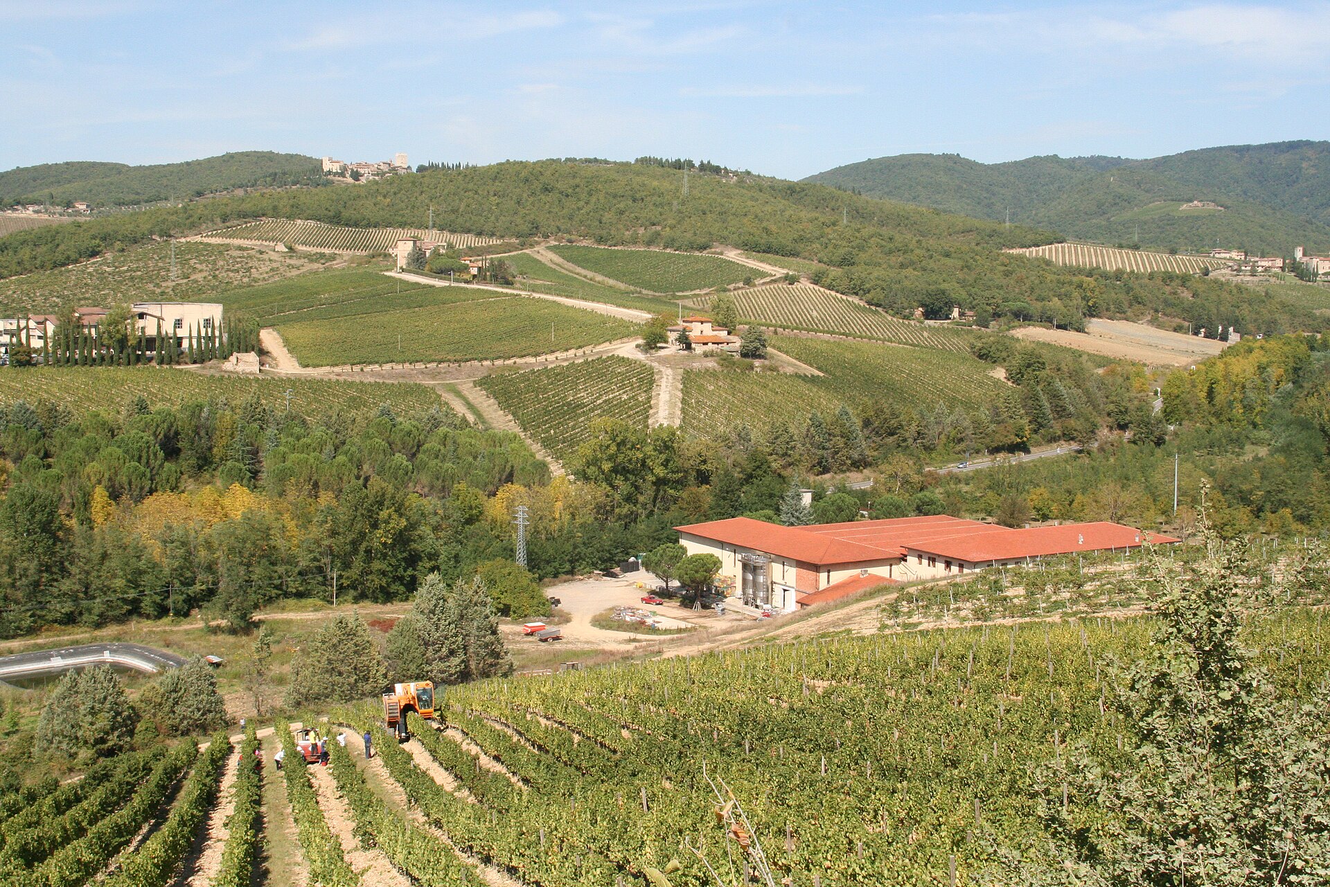 Rolling vineyards in the Chianti wine region of Tuscany, Italy