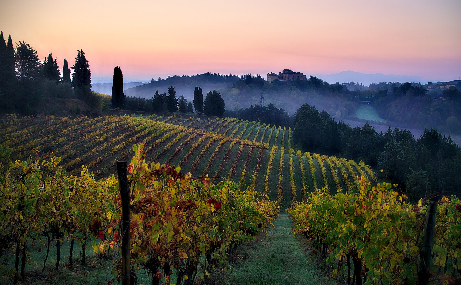 Autumn colours over a Tuscany vineyard landscape during the Chianti harvest season