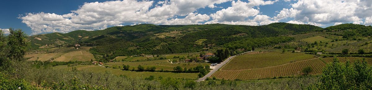 Vineyards and hills in Tuscany