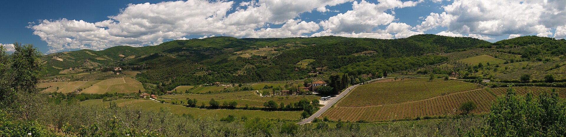 Grape harvest in Chianti — the vendemmia is in full swing across Tuscany and Piedmont in early October