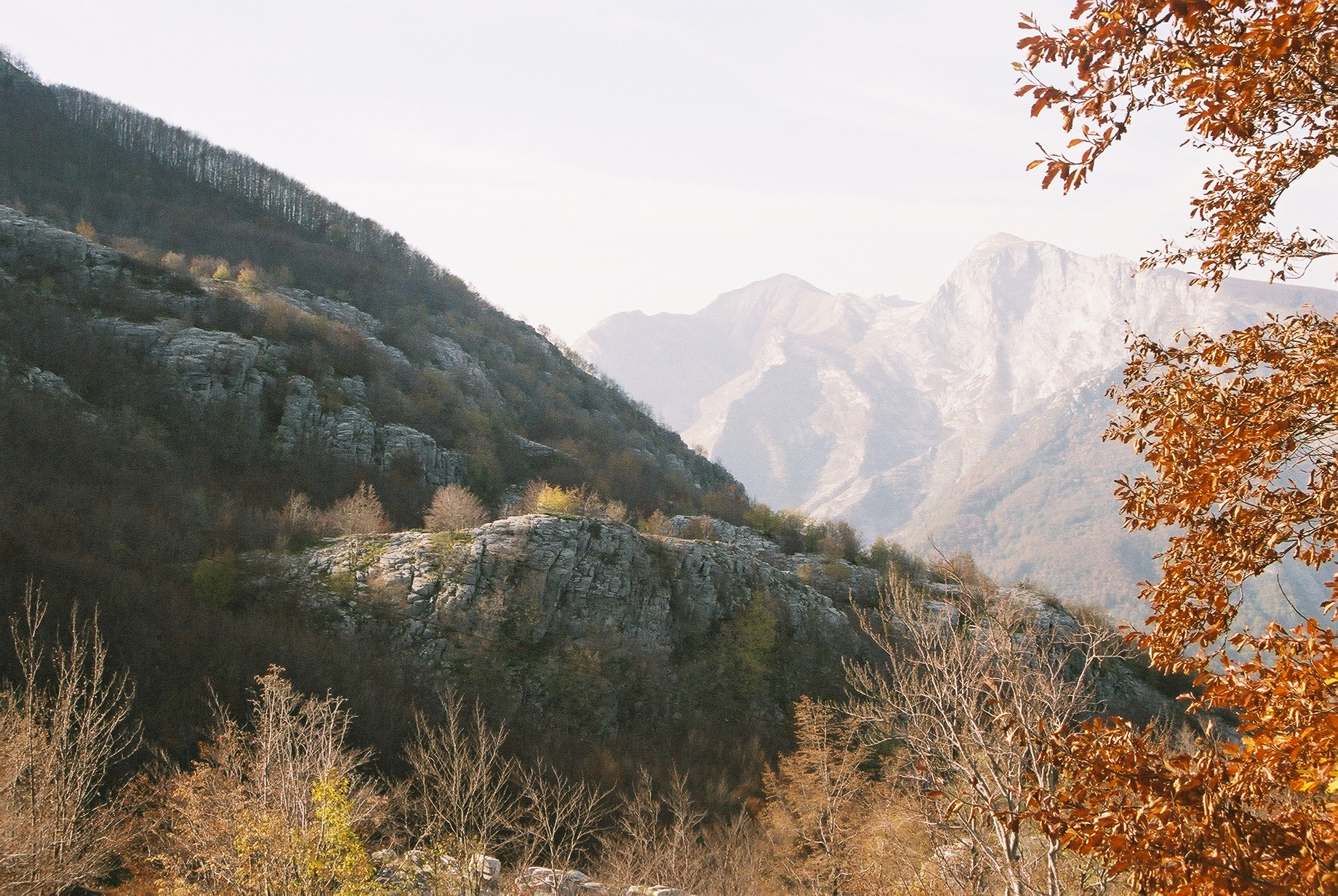 Larch trees turn gold in the Dolomites — October brings some of the most striking autumn colour in all of Europe