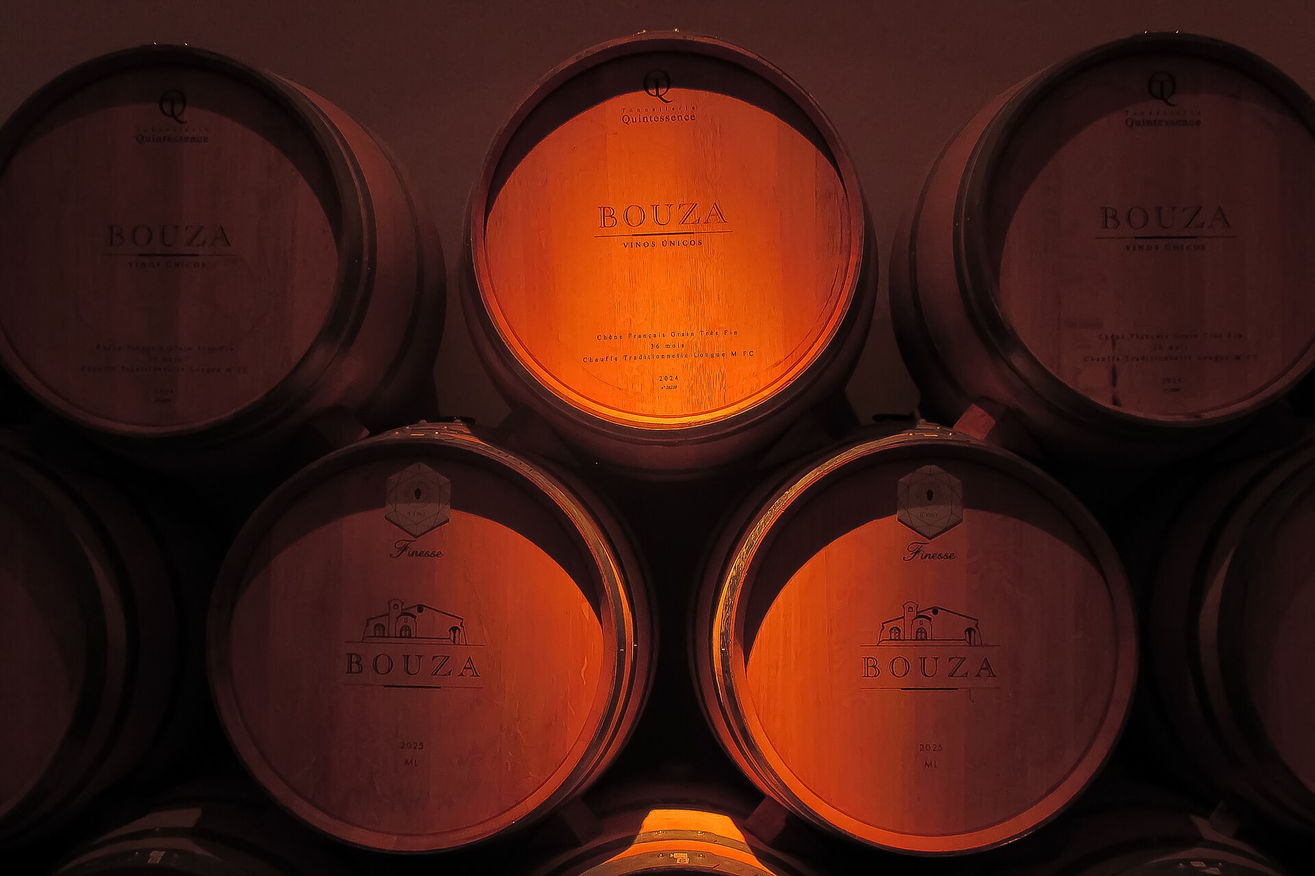 A dim Italian wine cellar lined with large oak botti, where reds like Barolo and Brunello age before release